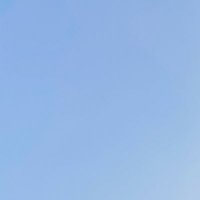 雑草♀ (@_nanakusagayou) 's Twitter Profile
