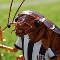 tekhücreliZigot (@brigade108179) 's Twitter Profile