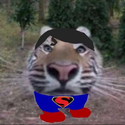 Fiz essa conta só pra falar de Superman e hqs q to lendo