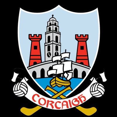 Cork City Civil Defence Profile