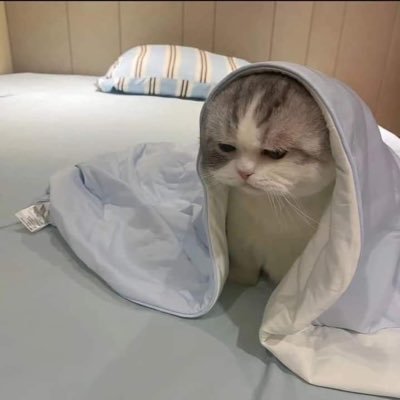 ka_nhom_phing's profile picture. 🧈