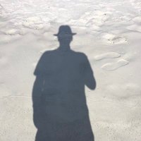 Tom (@tomstersteeler1) 's Twitter Profile