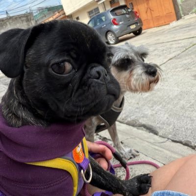 itrbhrr's profile picture. 