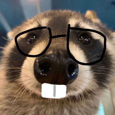 dbravo_06's profile picture. Javi’s crashout log