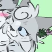 Ivynoras's profile picture. 19 y/o Artist 🇦🇺🇳🇿🇸🇬 // I post cat arts on Twitter // She/Her 🌿 // PFP and Banner by: @Sleetstream 💕