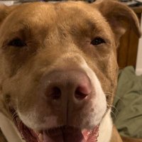 Barry Ringley (@deadbeargulch) 's Twitter Profile Photo Barry Ringley (@deadbeargulch) 's Twitter Profile Photo