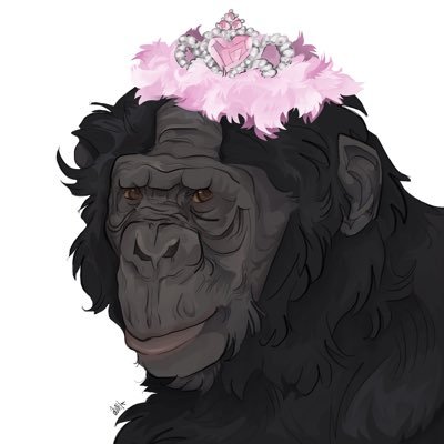 Serving Bonobo Realness. Adn Other Things
(all photos are from the ape initiative unless stated otherwise!)