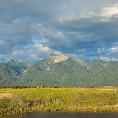 TSharpMTHD12's profile picture. 