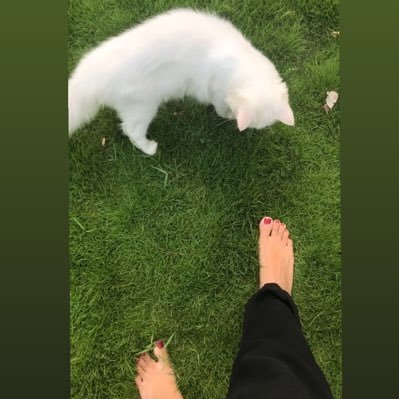 👩🏻⚕️ Doctor | bothered but moisturized 💅✨| 🐈⬛🐈 |