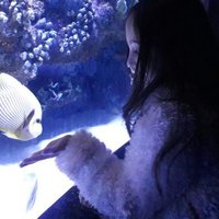 nehir (@realliesreyes) Twitter profile photo