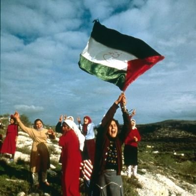 🇵🇸さんのプロフィール画像