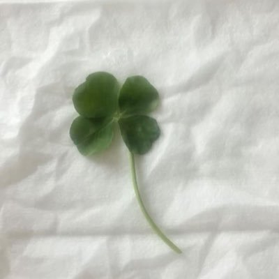 b_solerb's profile picture. ( @ girl  ) 💭 🦮 ✿ neocityboy 🏠 ( #09 ) 🤸🏻‍♂️📁 + rise & realize 🍹 💂🏻 ♥️