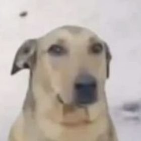 phthg's profile picture. 