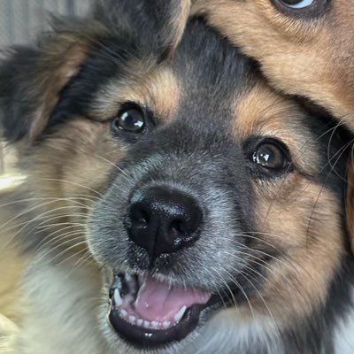 HuntaAlbers Profile Picture