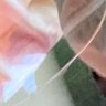 kore_kihon_desu's profile picture. トプシ、シスハイ、超社あたりがすきです