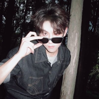 Yeolshi92's profile picture. #HOSHI multifandom #seventeen #exo #theboyz #mx #ald1 #p1h #xikers #tnx || kpop/anime/gamer/dancer || she/her||