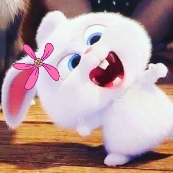 @Lillyaaaa85