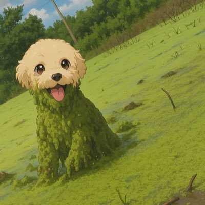 Janeide540325's profile picture. 