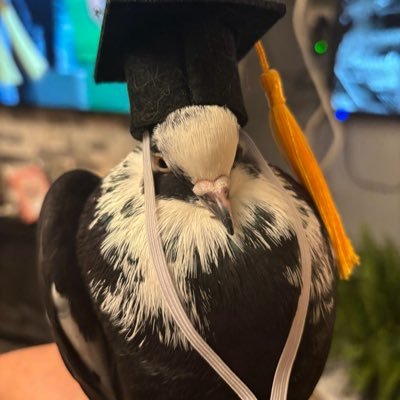 LongusFlongus's profile picture. 