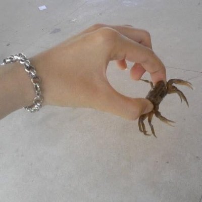 Tập đi khách , Slave dog , đam mê bdsm , some , chỉ muốn sống cả đời với dây xích khóa , phục vụ trong giam cầm
