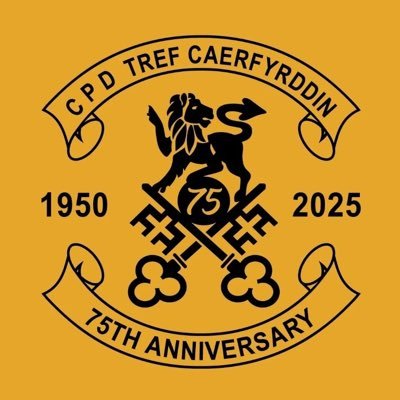 Official Twitter account of @CarmarthenAFC Women. Sponsored by @LHPAccountants, @StarbucksUK, @CarmarthenRT, @CymruPetSupplies, @TheMagicBeanCo.