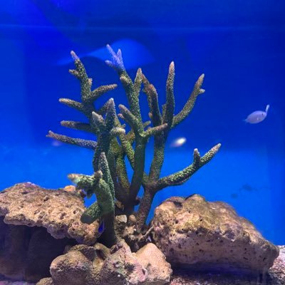 other_Me8's profile picture. 