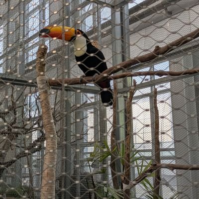 a_zhiro's profile picture. はじめまして小田原のひろです。
世界平和を本当に実現しょうとしている方と出会いました。
世界平和に貢献できればいいと思います。よろしくです。