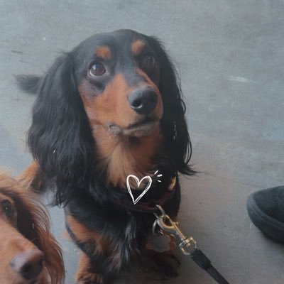 MellenKaylee's profile picture. 26💛