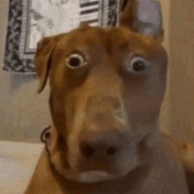 MahmuXter's profile picture. ʕ´•ᴥ•`ʔ