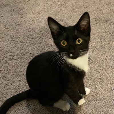 kathy74865's profile picture. 
