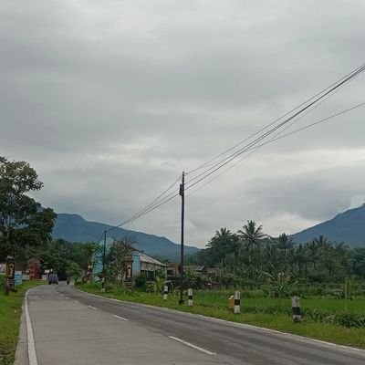 Sedang Berusaha Untuk Mekar