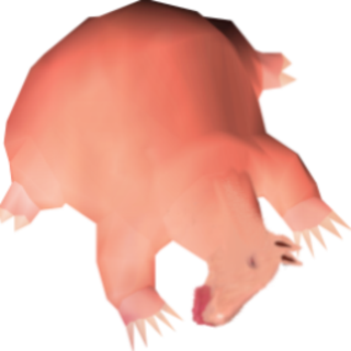 destorsmacks's profile picture. 