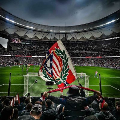 anavarroooo's profile picture. 