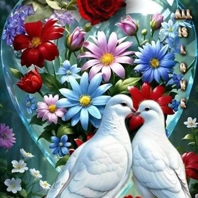 ibnuaxmedhorre's profile picture. I am somali mobile technician and also crypto trader more skills always makes you greater than others.