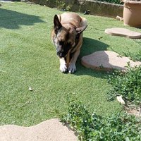 havok_7on1 (@hvk_7on1) 's Twitter Profile