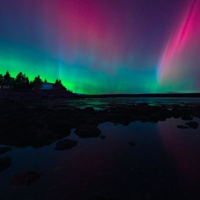 MichMatt79's profile picture. 
