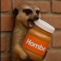 P Junk (@selukweson) 's Twitter Profile