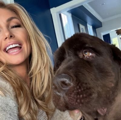 BrandenRode's profile picture. 