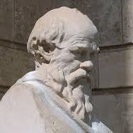 Darwaish3366's profile picture. peace for all. #humanist