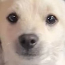 Rl0J4's profile picture. graphic designer -  vibe coding nooby and crypto loser