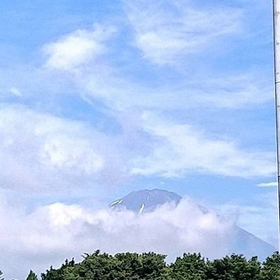 aymu123's profile picture. 成人済30↑社会人
オタク🤓