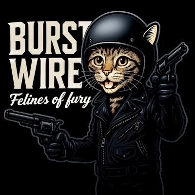 BURSTWIRE's profile picture. 中の人“団長WIRE”（BURSTWIRE / SIC）のバンド告知＆個人的発信 ！