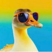 Duck_Eagle (@duck_eagle_) 's Twitter Profile