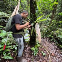 Ashlesh Pattanaik (@orthopterizzt) 's Twitter Profile