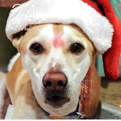 MaryMiraclee's profile picture. 