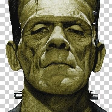 El zorro pierde el pelo, ... nunca las mañas !
