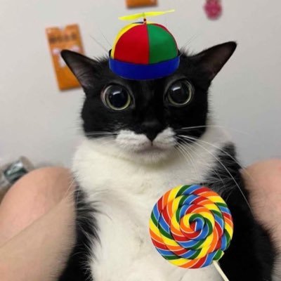 lu_tammm's profile picture. 