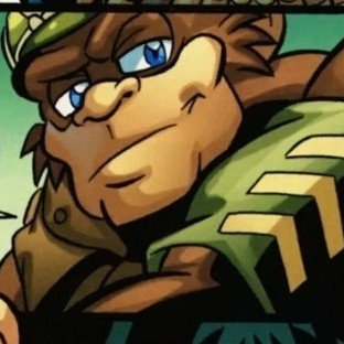 CEO of Destructix 💚🐵さんのプロフィール画像