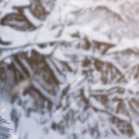 북극 (@north_p_o_le) 's Twitter Profile Photo