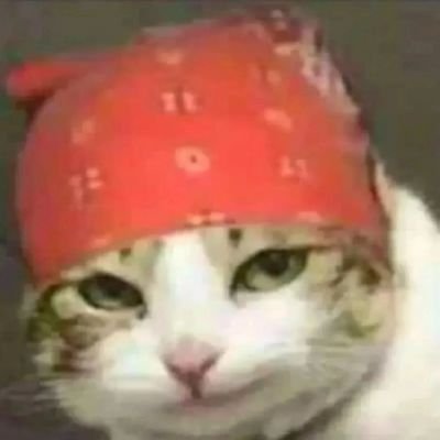 web3jump's profile picture. #WEB3 ⛓️‍💥